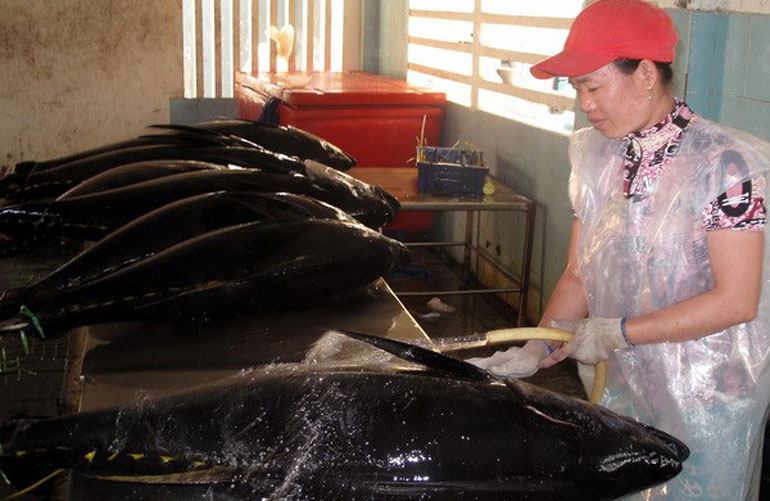 Ứng dụng khoa học trong bảo quản, chế biến nông sản - thực phẩm